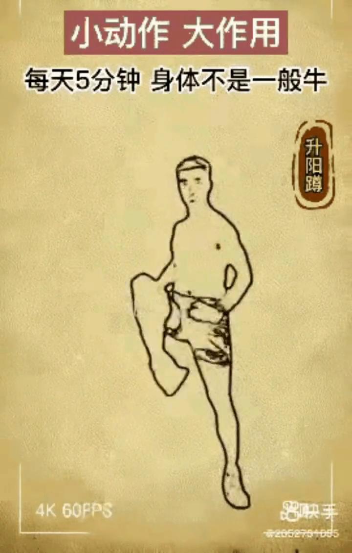 小动作大作用，每天5分钟身体不是一般牛。·升阳蹲：小动作大作用，建议40岁以上
