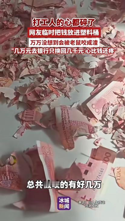 近日，云南昭通，一男子将辛苦打工攒下的几万现金，存在家中的塑料桶里面，不料被老鼠