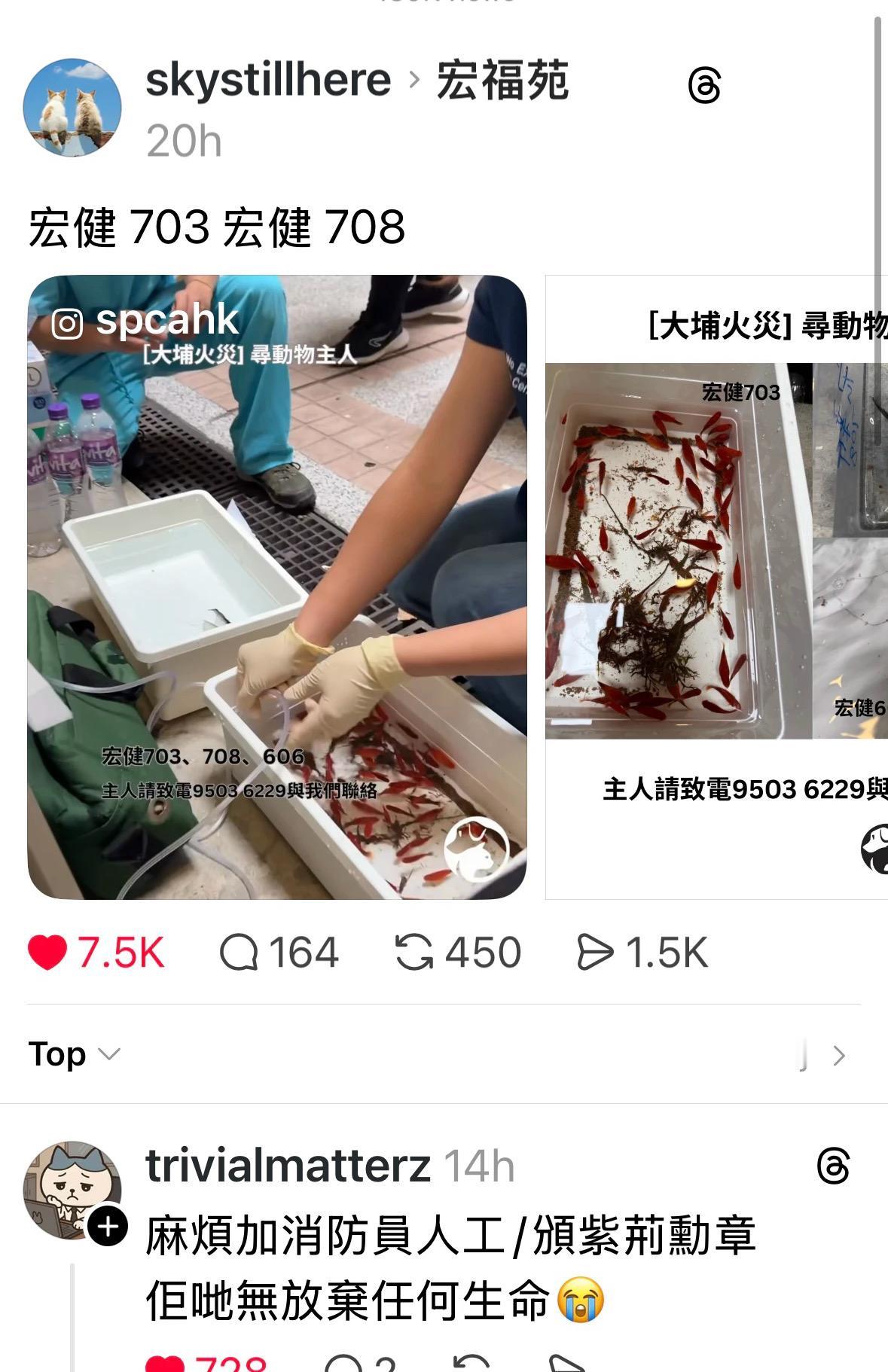 香港消防员真的厉害，连火灾现场受困的金鱼和仓鼠都救出来了。消防大队长也表示，