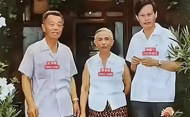 1971年，诺贝尔物理学奖得主杨振宁首次与岳父杜聿明会面，留下了这张珍贵合影。当