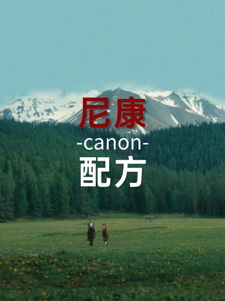 尼康直出相机配方，简直香到爆！！