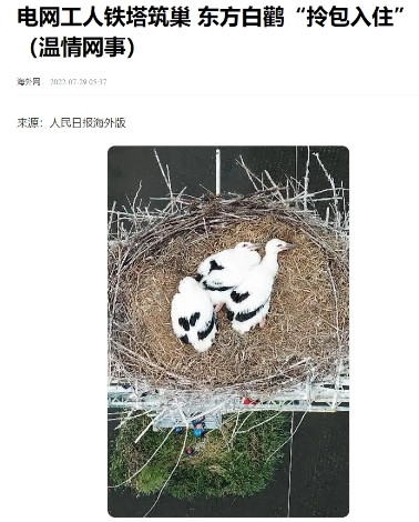 2007年，因为鸟粪导致的停电事故，竟然让高压线路巡线工周士清，成了一名“国宝鸟