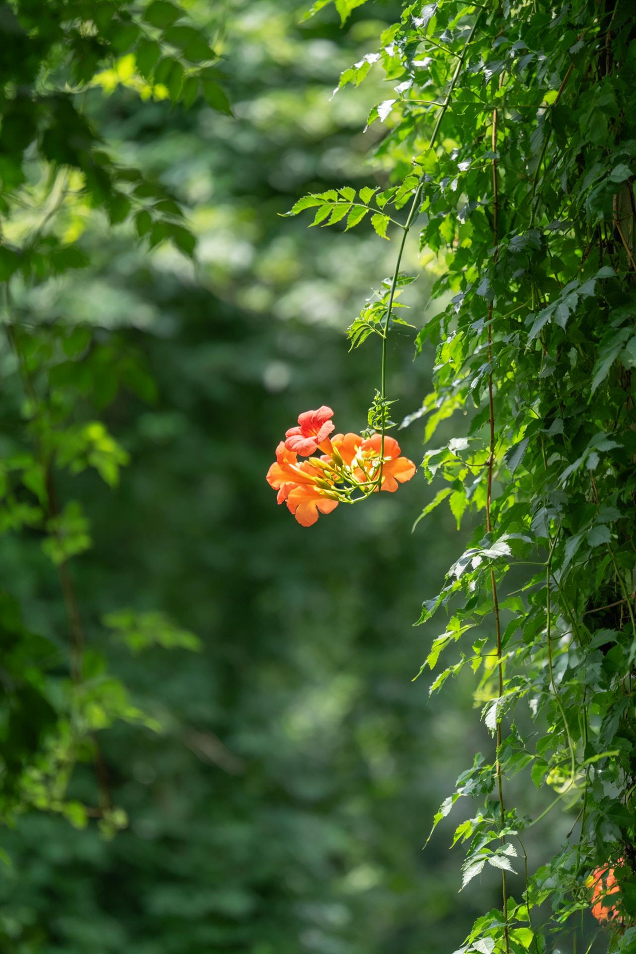 心理学家说：“若你的孩子在成年后，很少和你联系，交流，一点也不想家。那对于他来
