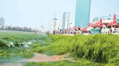 一，华北空气污染，关停山东七八万家企业二，河南黄河排污达标，山东每年要给河南几