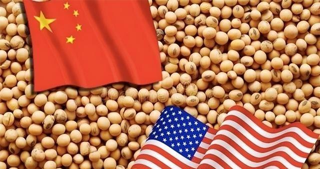 美论坛：为什么中国人根本不关注中美贸易战？网友：因为不害怕美国网友的问题引