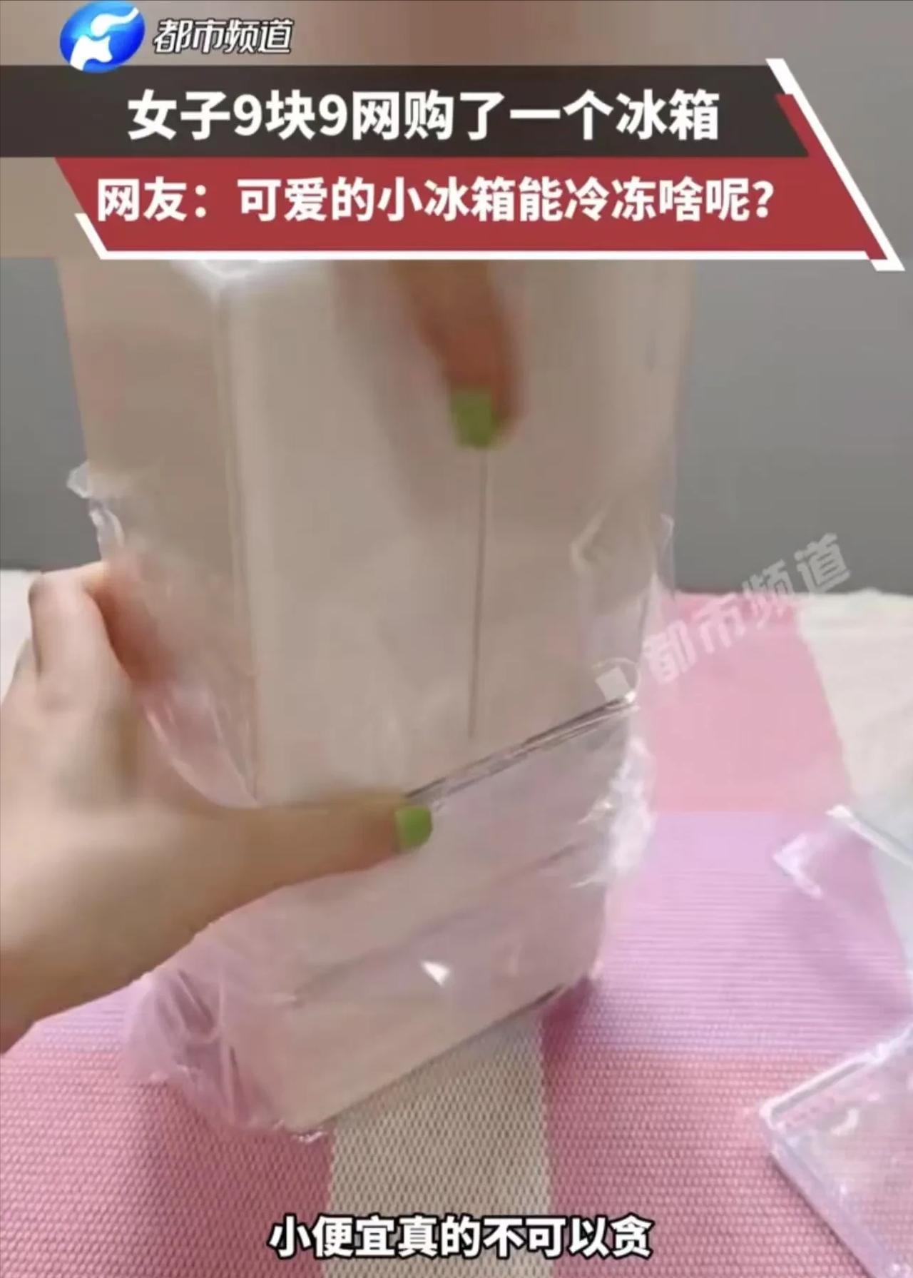 “一个敢卖，一个敢买！”女子9块9网购一个冰箱，商家说是做活动特价，女子很幸运抢