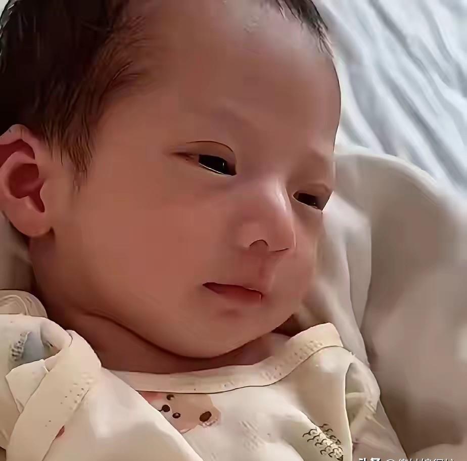 一个刚出生的婴儿，成了他母亲最硬的底牌，也是他父亲后半生最稳的江山。高挺的鼻
