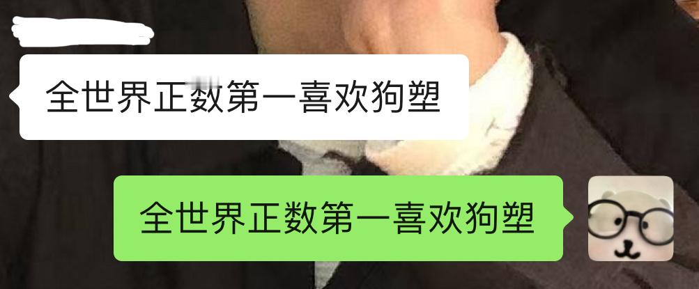 全世界正数第一喜欢狗塑🐕