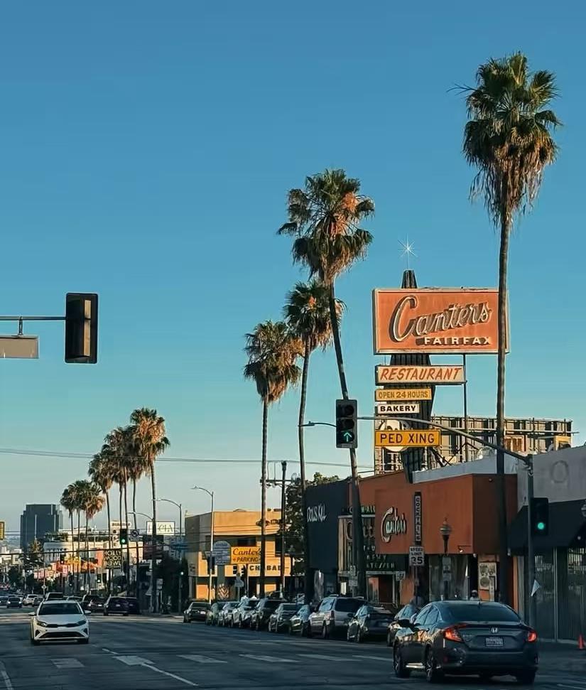 网友在高档西餐厅遇到一个假装不会中文的华裔服务员，他也故意说不会英语，并就用谷歌