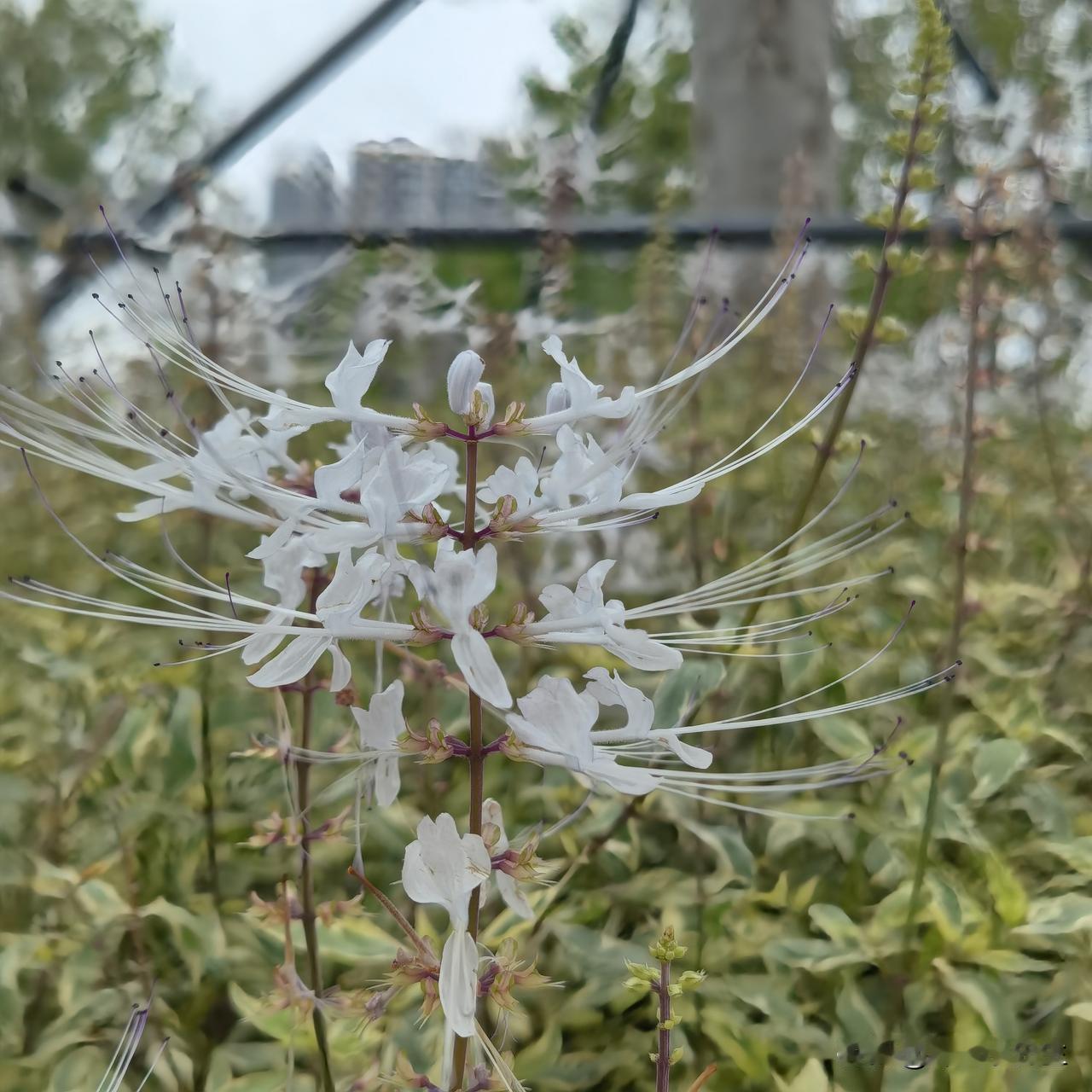 踩遍市场陷阱才明白：散户赚不到钱，从来不是技术不行，而是思维彻底错了！别再