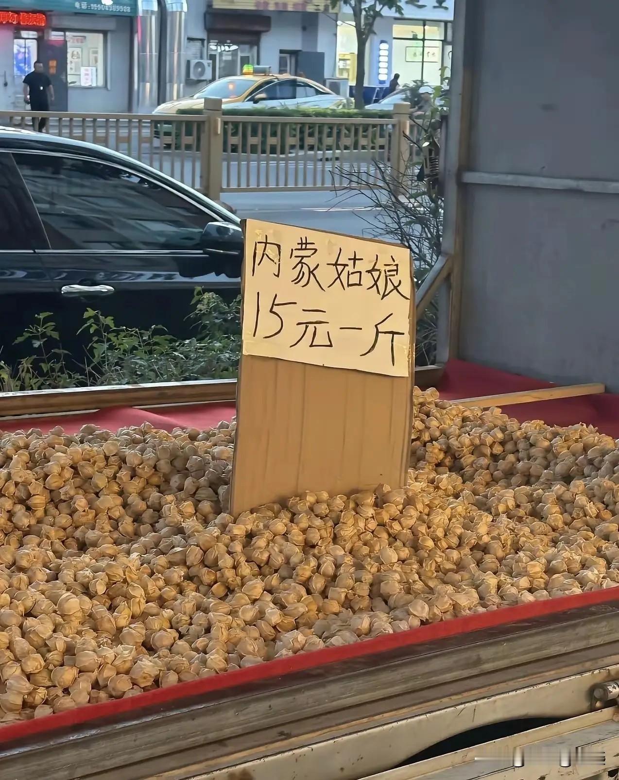不是，我居然秒懂！[捂脸哭]