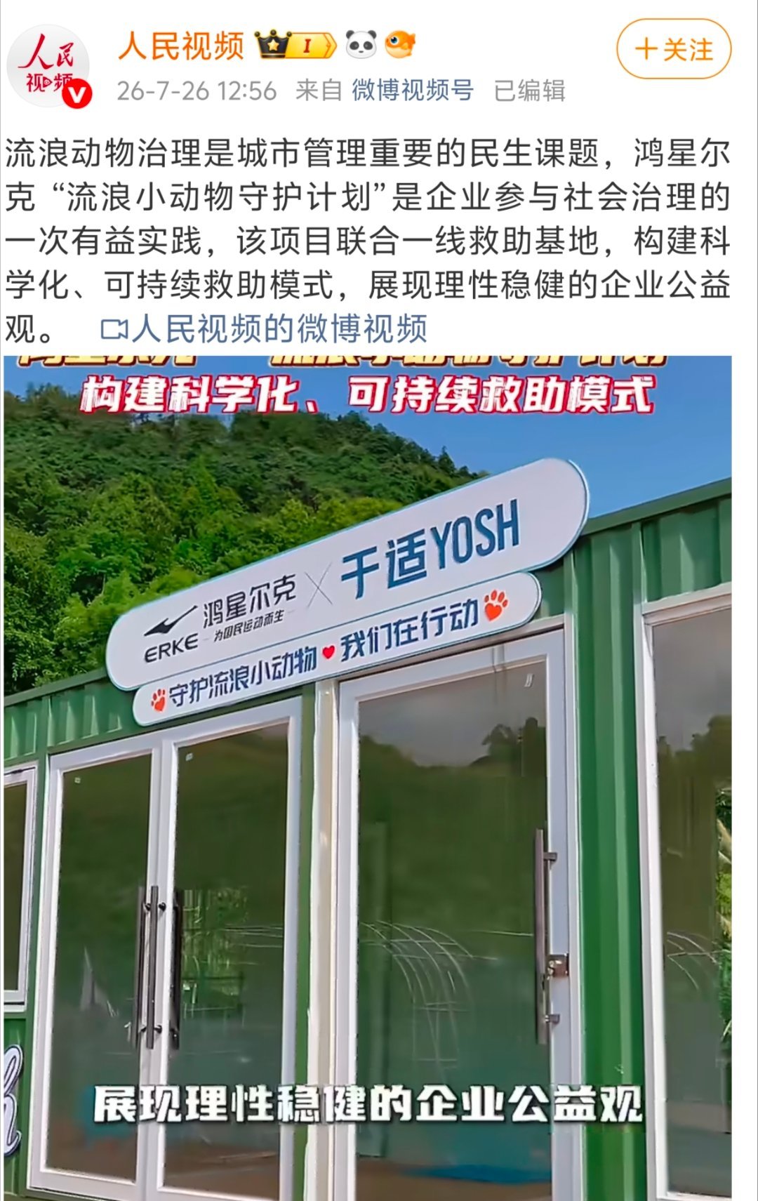 刷到街头的流浪小猫小狗，相信很多人都会和我一样，内心柔软下来。但救助不是随便抱回