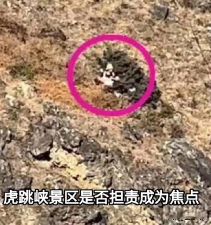 男孩坠崖事件发生后，虎跳崖景区是否要担责成为事件焦点，遇难男童仅8岁景区回应称