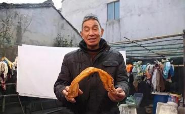 1981年，宁波一位渔民在杀鱼时意外从鱼肚里挖出3斤鱼鳔，结果放了35年后，一位