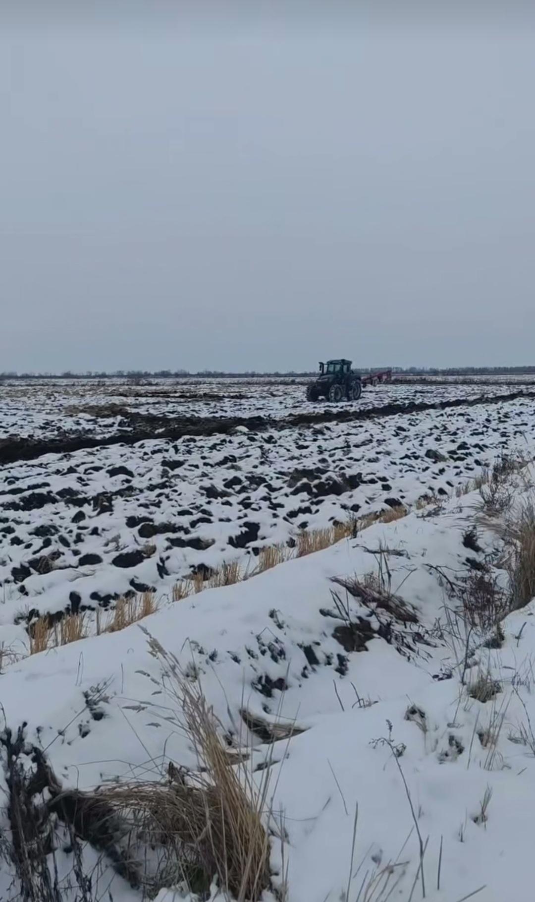 东北已经大雪封山了。[呲牙笑]