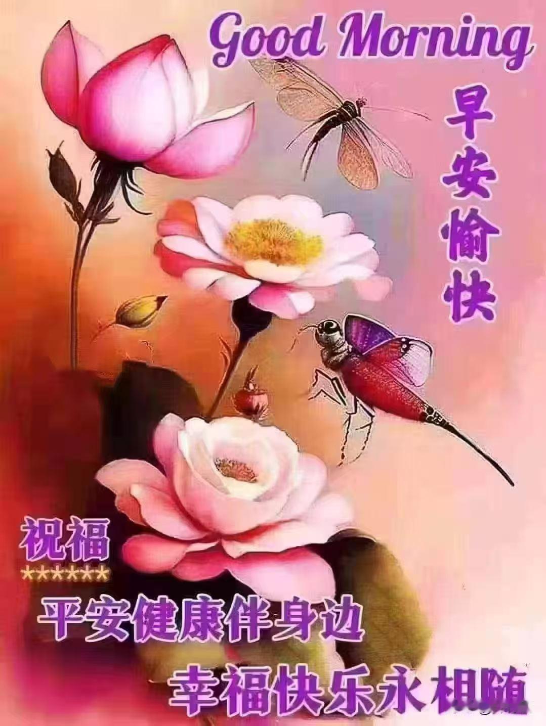 [比心]早安心语[比心]晨风吹过防城港，岸畔朝霞染浅浪。白鹭斜飞穿雾去，渔