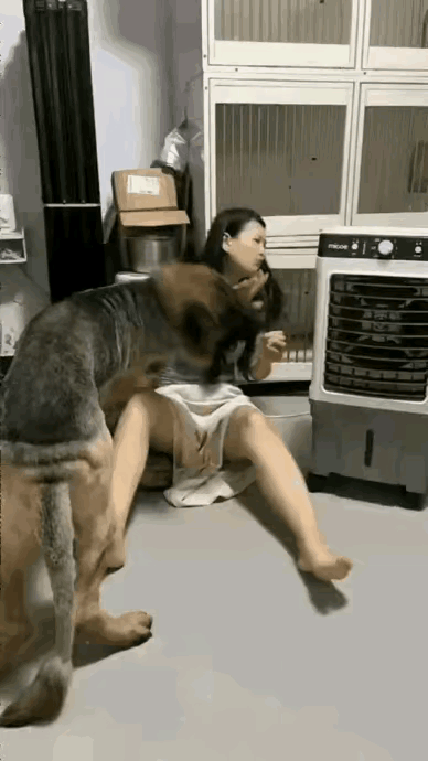 看这条大狗，陪女主人玩的多开心！