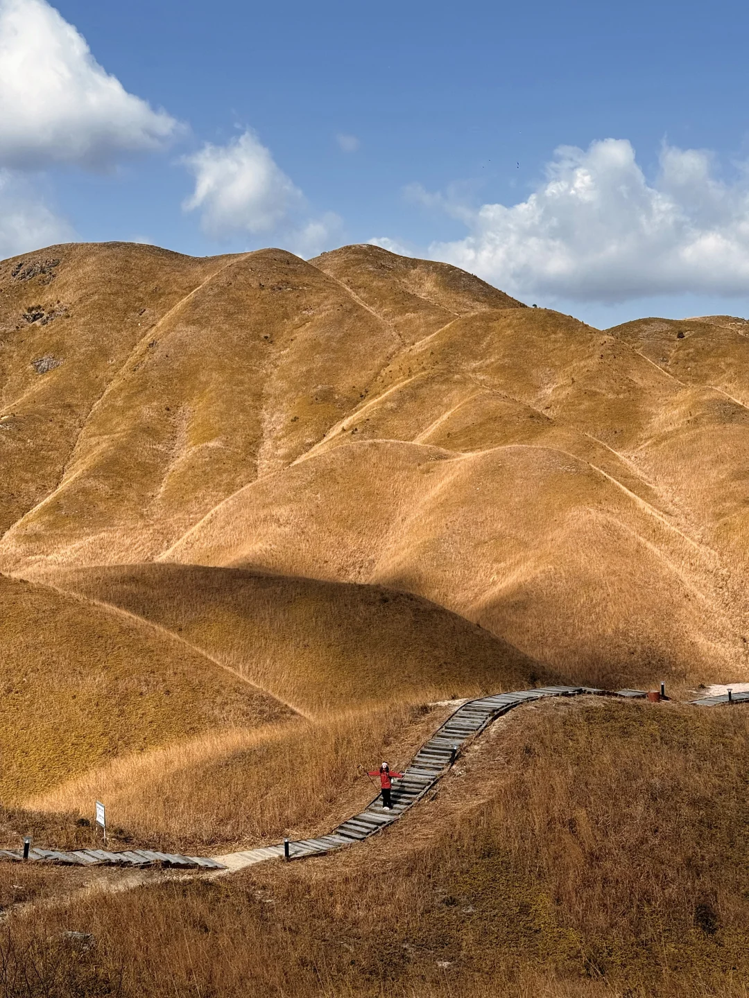 我以为温州的山够美了，直到我来到了这里‼️