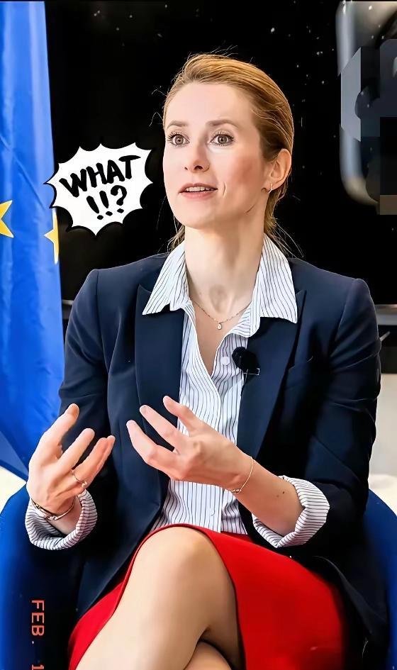 终于反应过来了欧盟外长卡拉斯突然放出狠话！7月15日，欧盟外长卡拉斯在布鲁塞