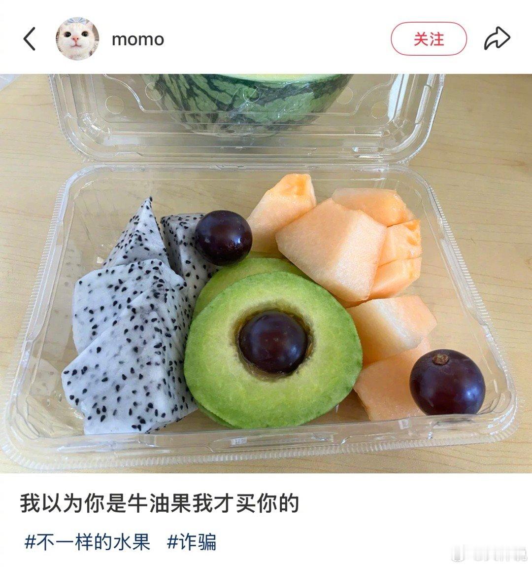 喂是水果反诈中心吗假日先疯派春日放个疯​​​