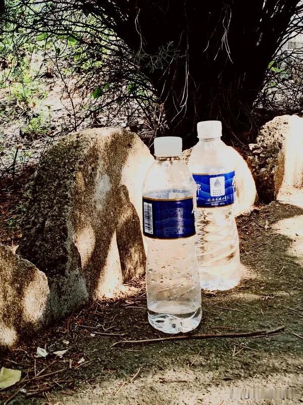 水瓶座的挣钱能力到底有多厉害呢?都说水瓶座是长期赚钱王者，我算是见识到了。不是