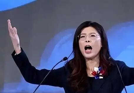 台湾蓝营终于亮出信号！郑丽文曾公开表示，“一国两制”在台湾社会难以获得认同，不再