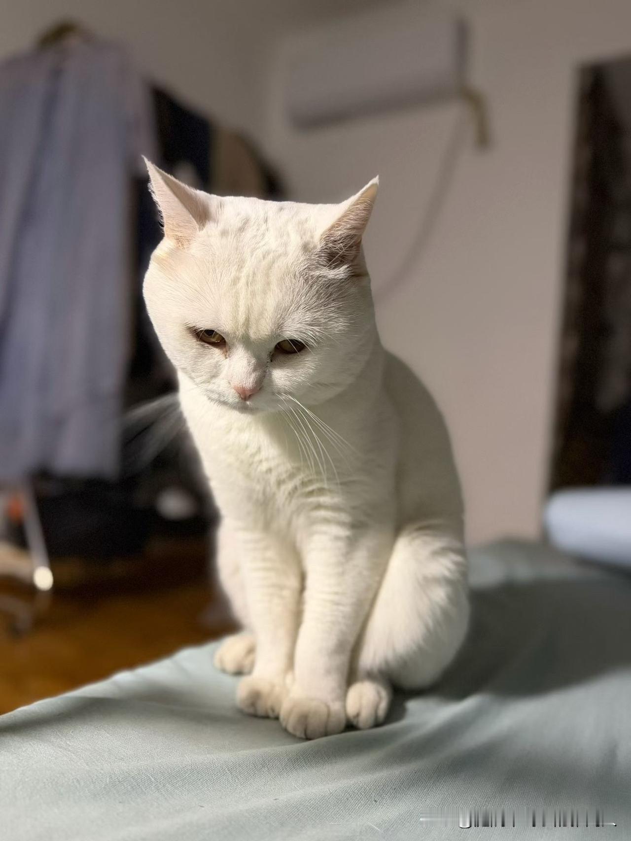 想不明白为什么很多人都想要深圳户口？身边好多人削尖了脑袋想办深圳户口，说什么一