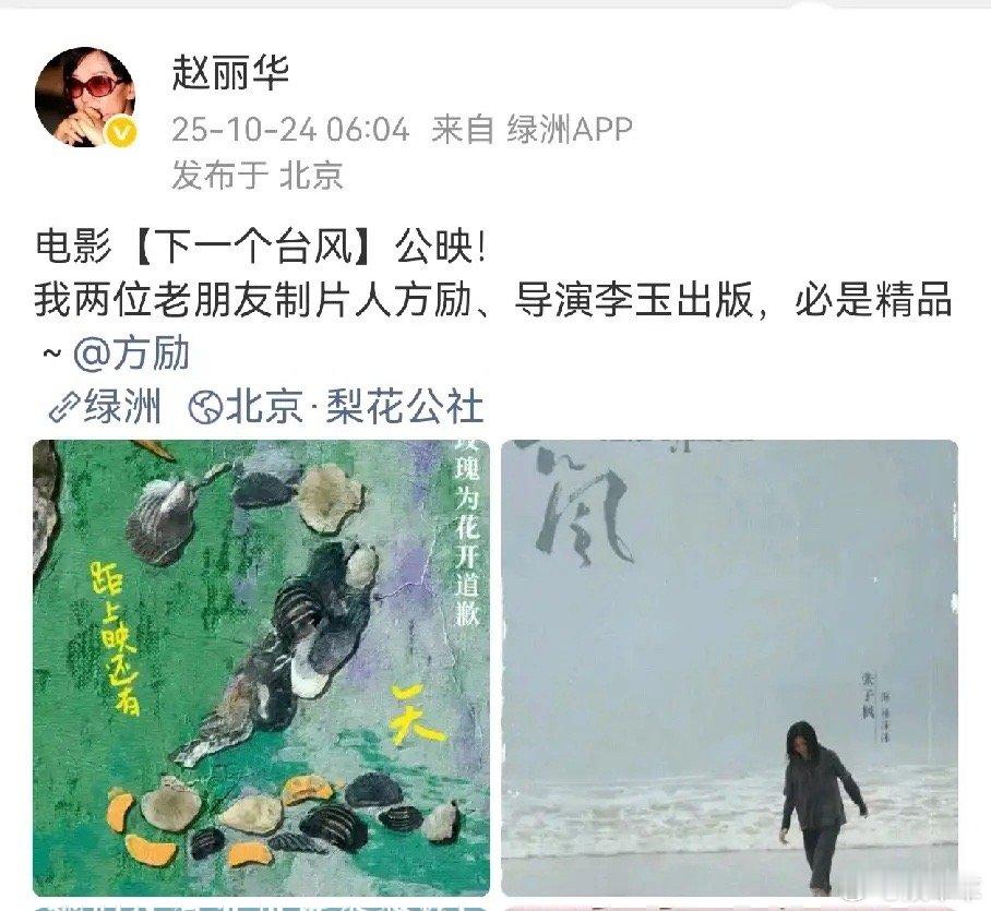 赵丽华以身入局，一句“就凭你，一亿个你都掀不起任何风浪”成功被网友抵制。原本是帮