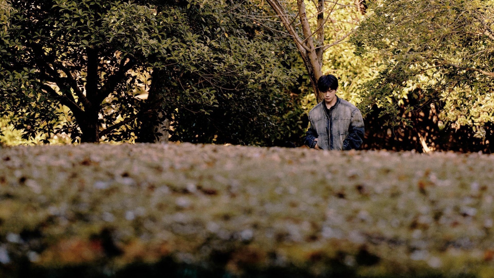 2026年易烊千玺想一个人旅行很能理解千玺为什么想一个人去旅行。这些年他一直被