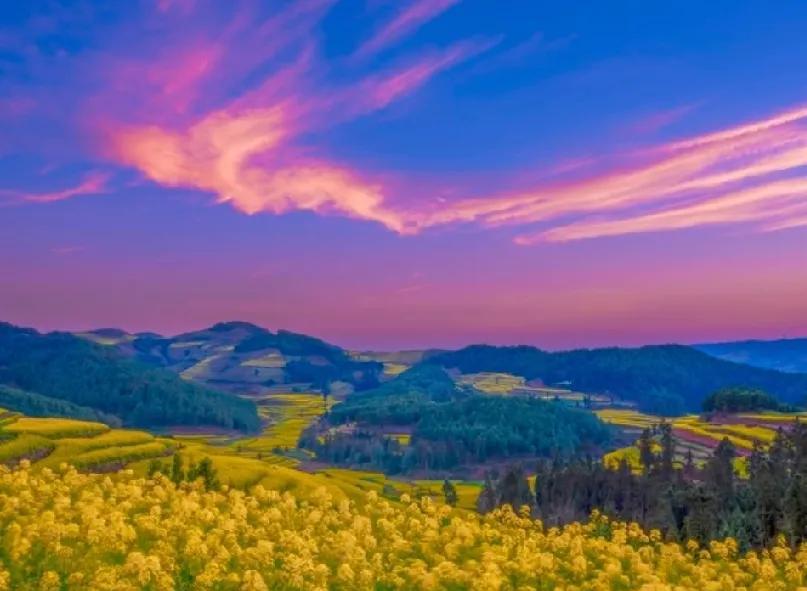 醍醐灌顶的一段话：“大部分人都不长寿，但大部分人又坚信自己会长寿，而且能活到八