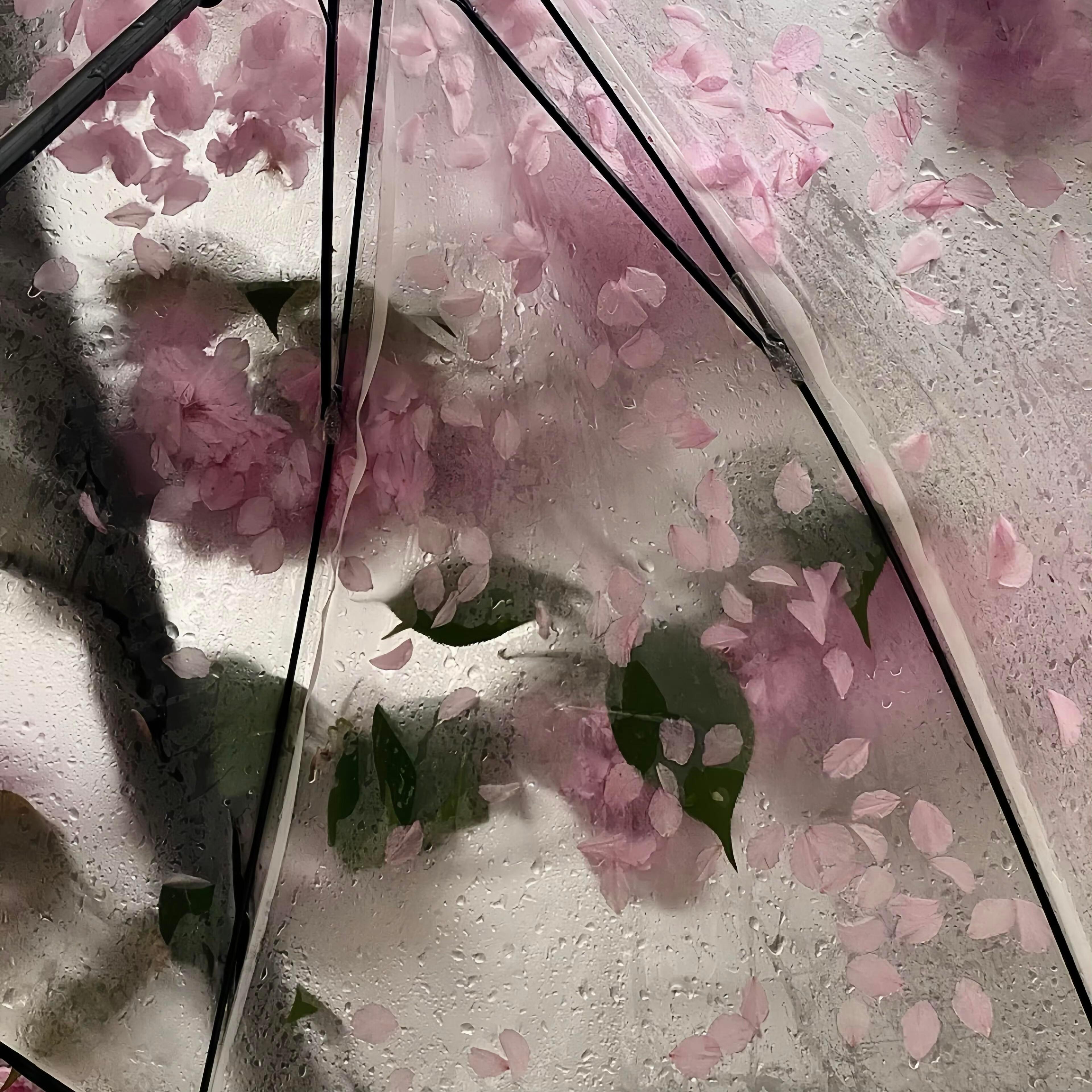 WeChat｜氛围感背景图🌧️背景图​​​