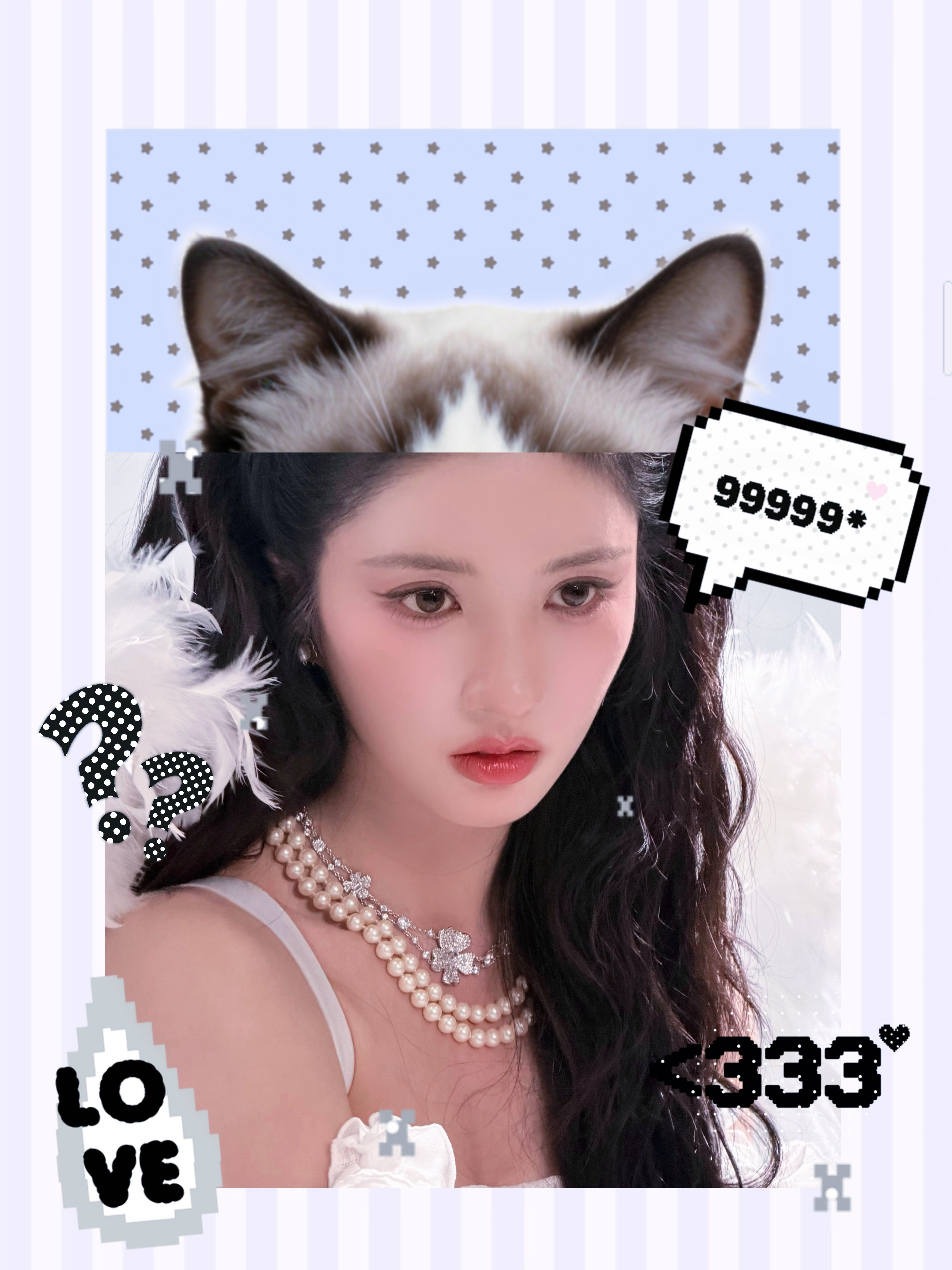 刘些宁谢玉璋lxn刘些宁公主小猫领养🐱