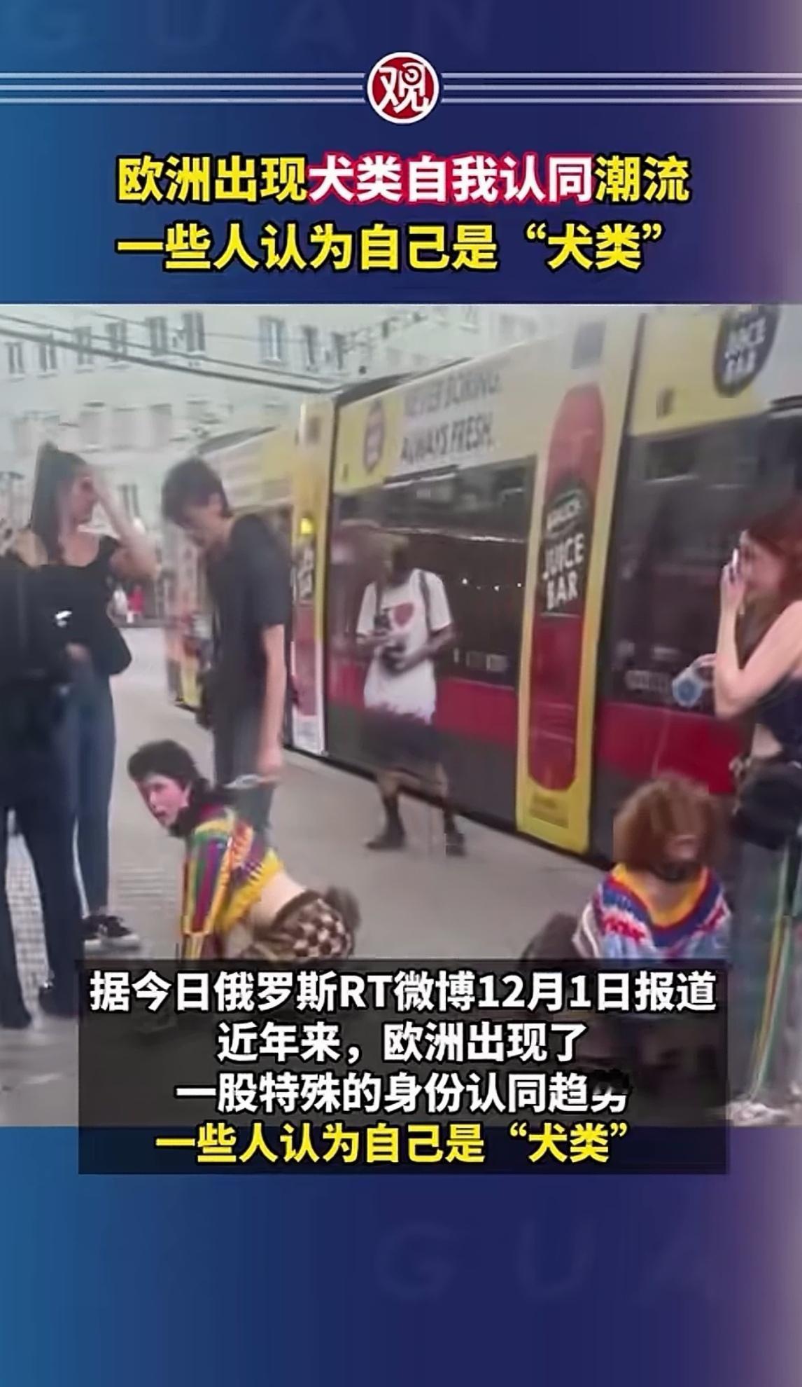 我们中国人很难理解，欧洲掀起一场“犬类身份”的自我认同潮流。她们自我认可为“