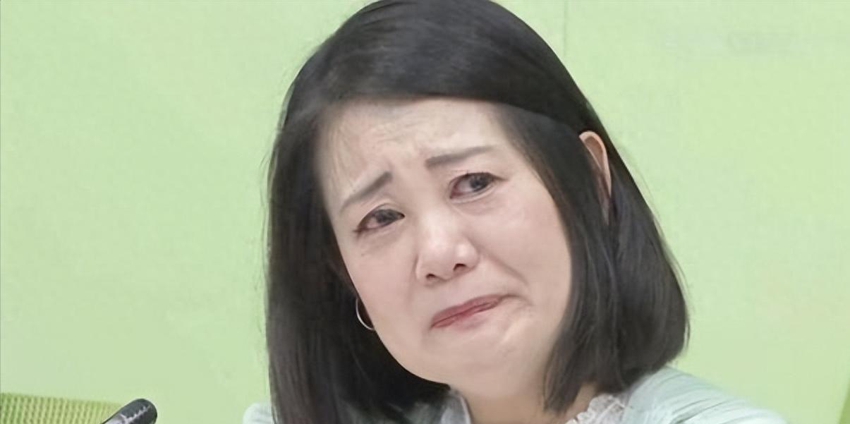 黄国昌批台关税叠加20％吴思瑶叫嚣：不懂的事都抹成黑箱台“行政院”经贸谈判办
