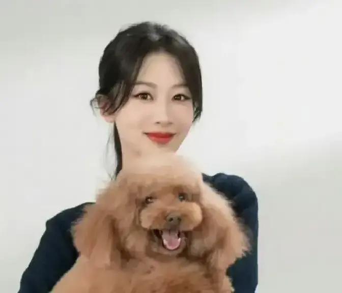 15岁的PiuPiu耳朵快听不清了，杨紫却每天对着它的左耳说三遍“我爱你”——这