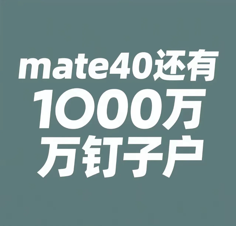 震惊了，到现在还有1000万mate40钉子户！我就是其中之一。这部五年