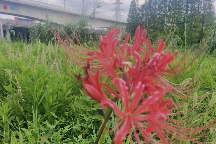 突然收到一条信息，你最近还好吗？看了一下，是一个曾经喜欢熟悉的人。但想一想要