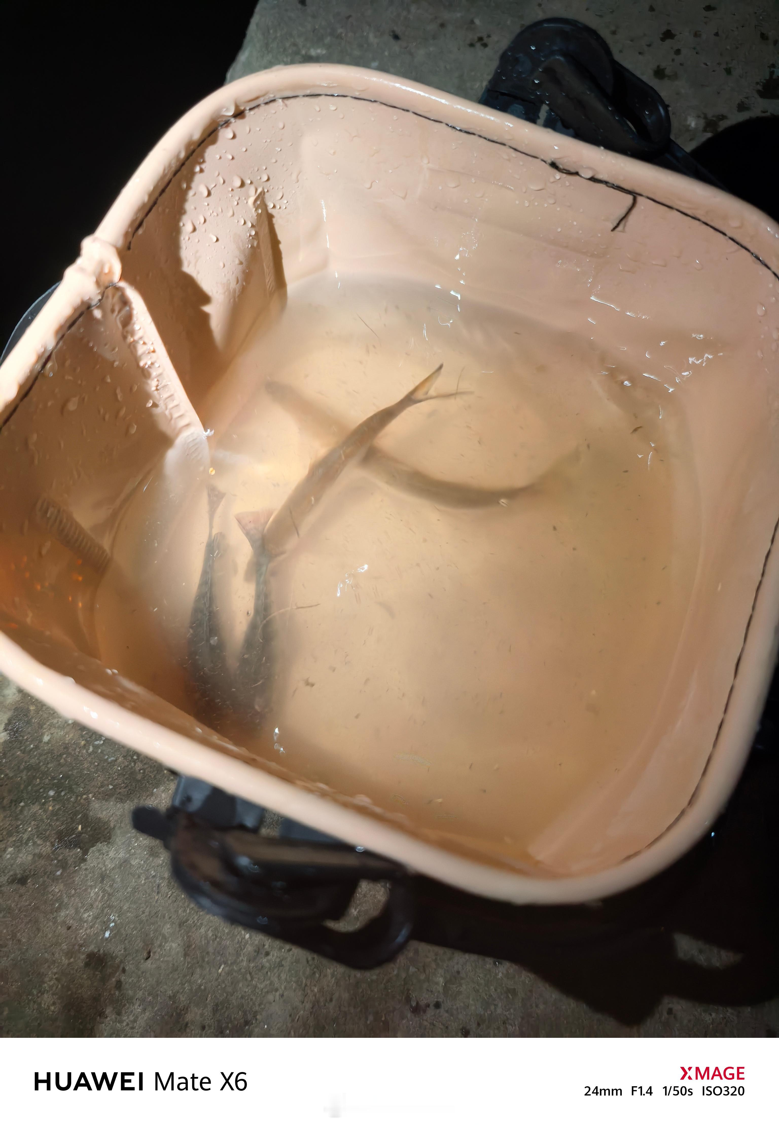 钓鱼的挫败感只能从开车上找回来