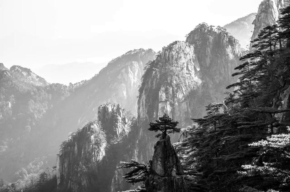 黄山归来不看岳，雪中的黄山更加美丽！黄山分享黄山美景