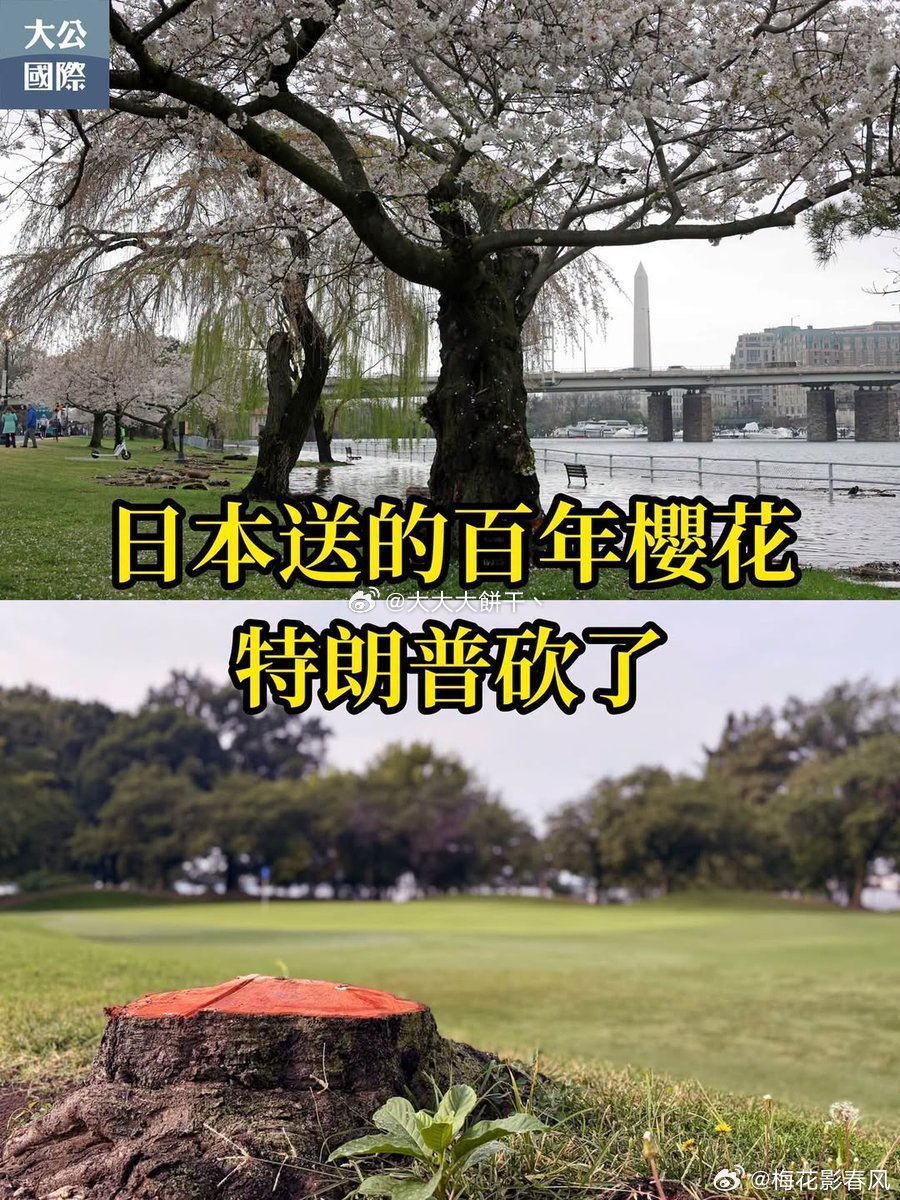很多人不知道广州人为什么要大声说话，不是因为都是大秦锐士也不是大唐骑兵，也不是我