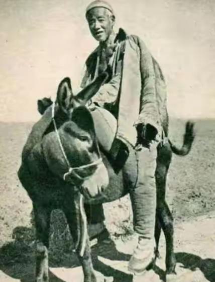 1943年，冀东300名八路军被鬼子包围，一名老者从驴背上跳下来，手拿一把“英七