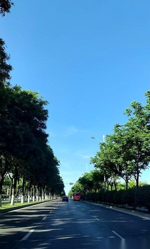 我，81年的，前阵子刚查完社保。缴费记录从电脑屏幕上拉出来，不多不少，整整21年
