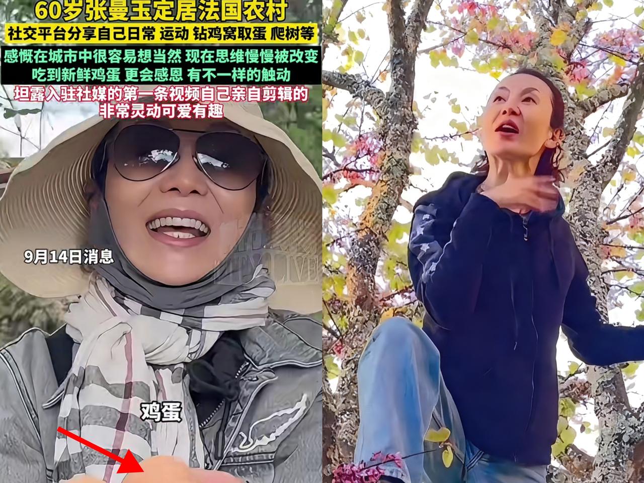 奉劝大家一句，不要再被张曼玉的样子骗了，她的养鸡生活跟大家想的完全不一样