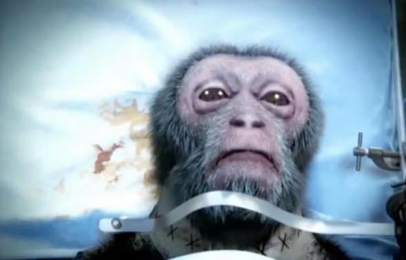 中国科学家为猴子换头成功，称换人头不是梦。当手术团队公布这一消息时，实验室外