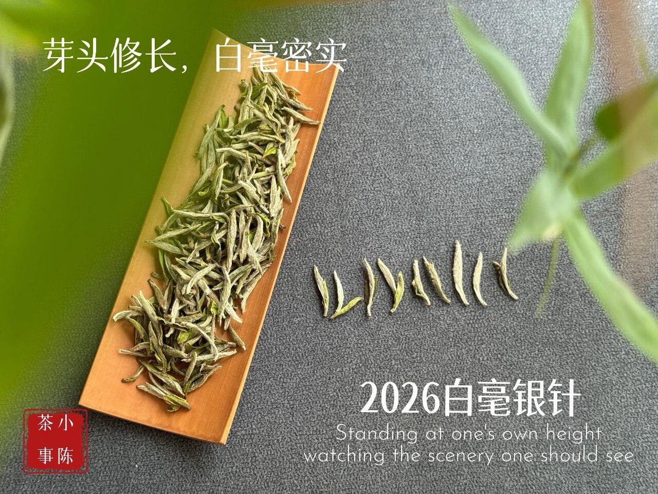 盘点超高踩坑风险的3类茶！①头采茶。头采，指的是每年茶园里第一批采摘的茶叶。