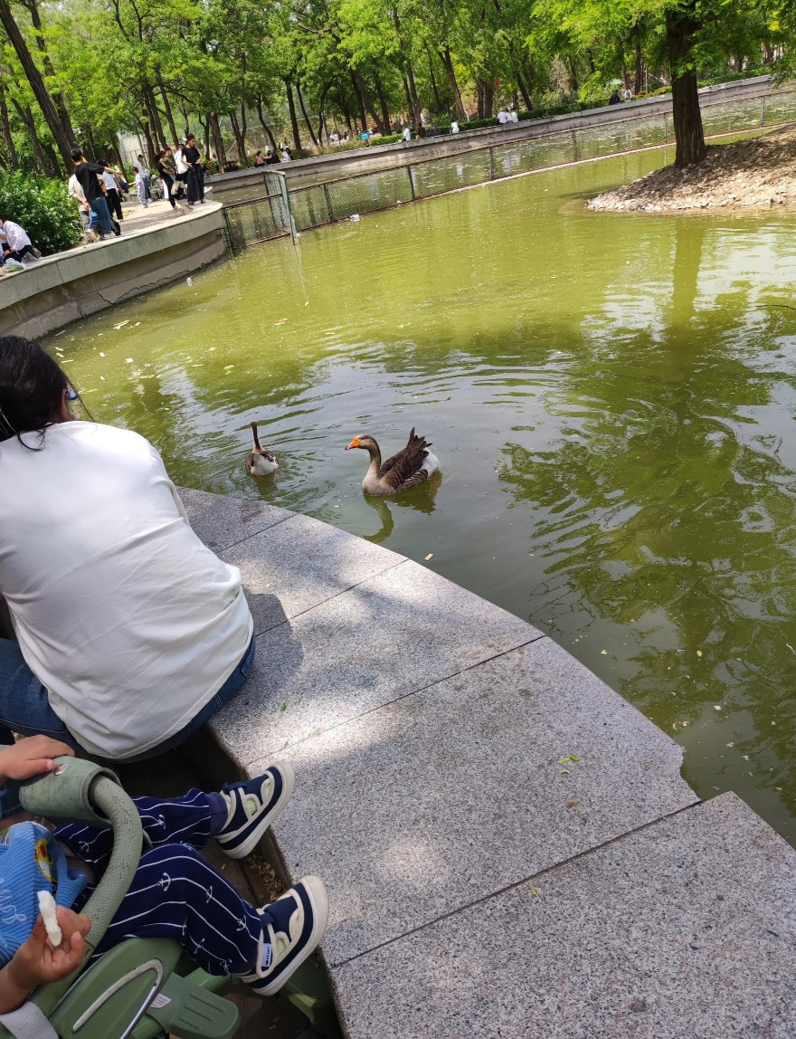 说实话，以前儿子没娶媳妇时，我也是求爷爷告奶奶的请别人给说媳妇。心里也暗暗告诉自