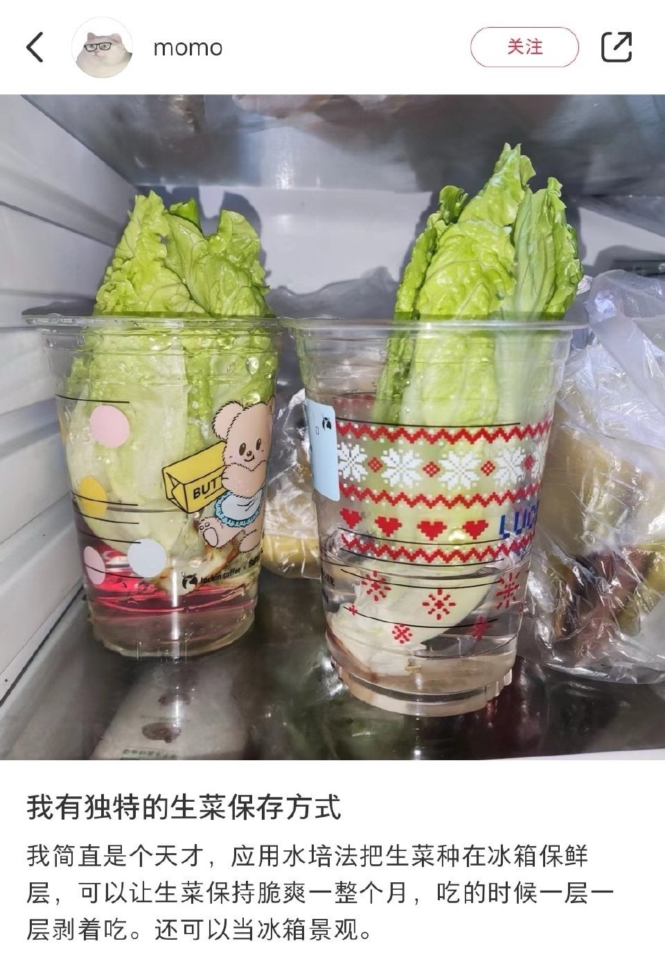 卧槽。。。这届中国网友配享太庙