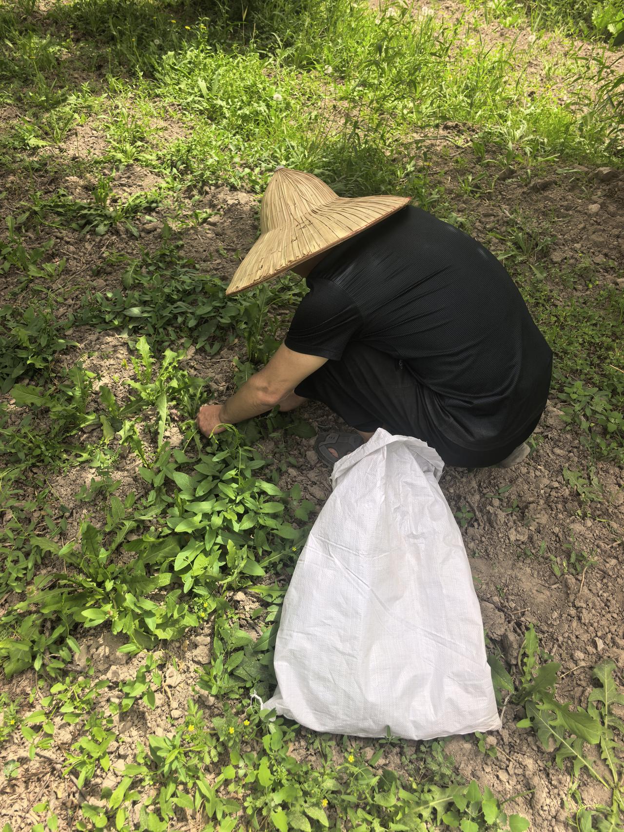 那些前来同情你的人，或许正享受你的苦难人处在低谷时，总盼着能得到理解与帮扶