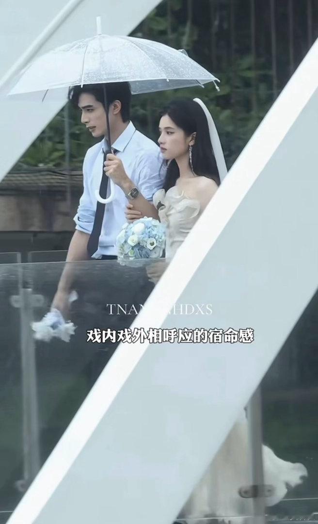 张婧仪给每个顶帅一个家流水的顶流帅哥，铁打的张婧仪。与生俱来的温柔包容感，和任何