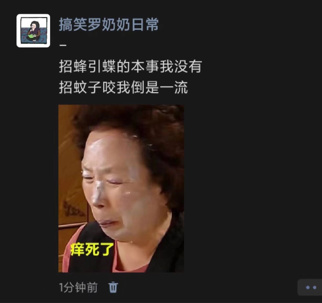 有没有人来管管蚊子🦟！